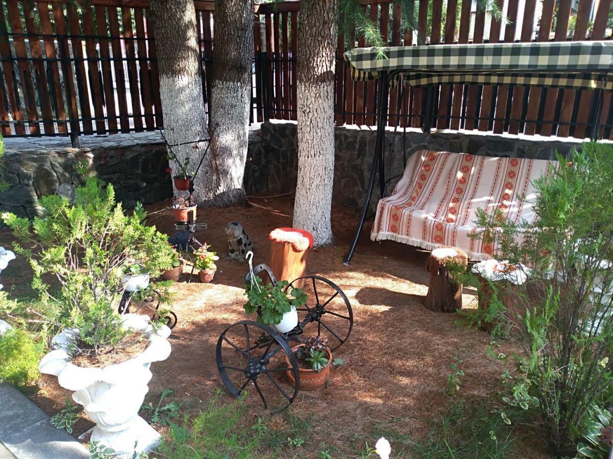 Durmitor Daire Kumanova Dış mekan fotoğraf